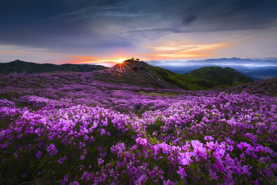 Valley of Flowers & Hemkund Sahib